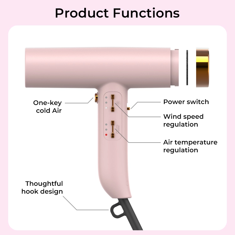 Professional Ionic Hair Dryer